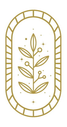 Content and IP development icon